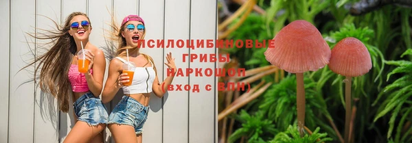 эйфоретик Балахна