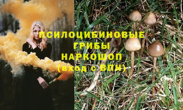 ГАЛЛЮЦИНОГЕННЫЕ ГРИБЫ Баксан
