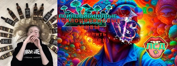 ГАЛЛЮЦИНОГЕННЫЕ ГРИБЫ Баксан