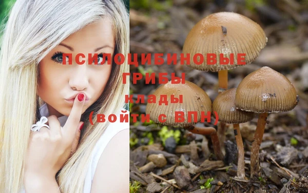 эйфоретик Балахна