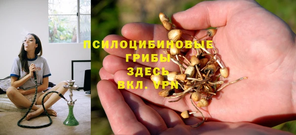 ГАЛЛЮЦИНОГЕННЫЕ ГРИБЫ Баксан